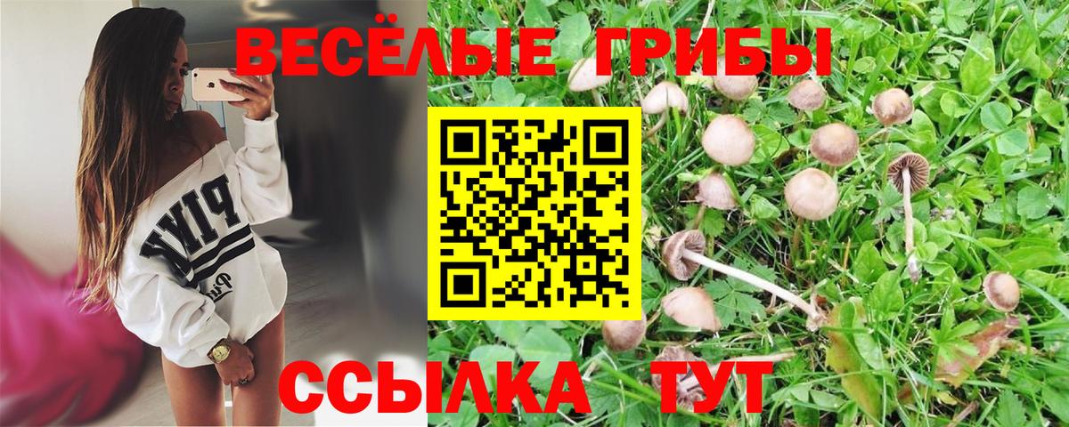 Сосновый Бор  Псилоцибиновые грибы мицелий  где можно купить наркотик  Псилоцибиновые грибы Magic Shrooms  Вход с VPN 
